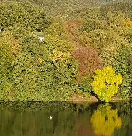 Brachtpetal Drolshagen